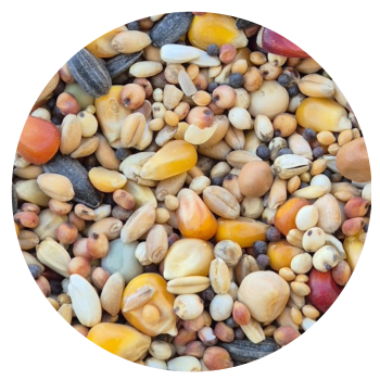 VANROBAEYS - Nr 6255  (Essentail) - 20kg (Pierzeniowa)